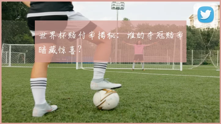 世界杯赔付率揭秘:谁的夺冠赔率暗藏惊喜?