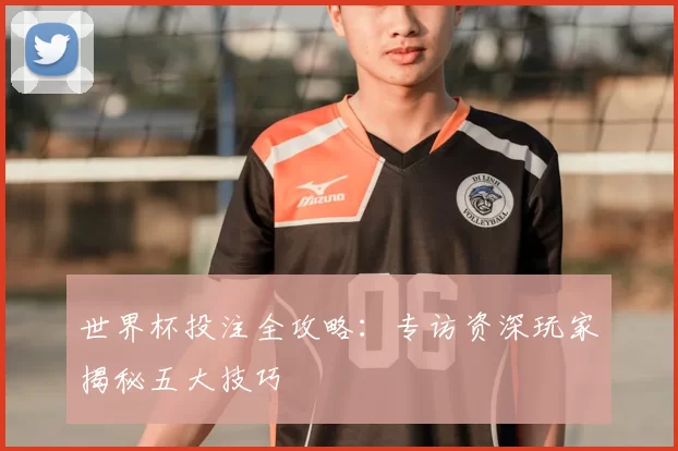 世界杯投注全攻略：专访资深玩家揭秘五大技巧