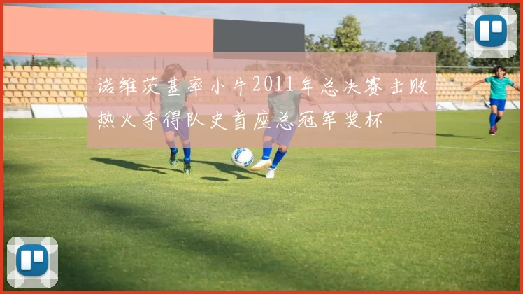 诺维茨基率小牛2011年总决赛击败热火夺得队史首座总冠军奖杯