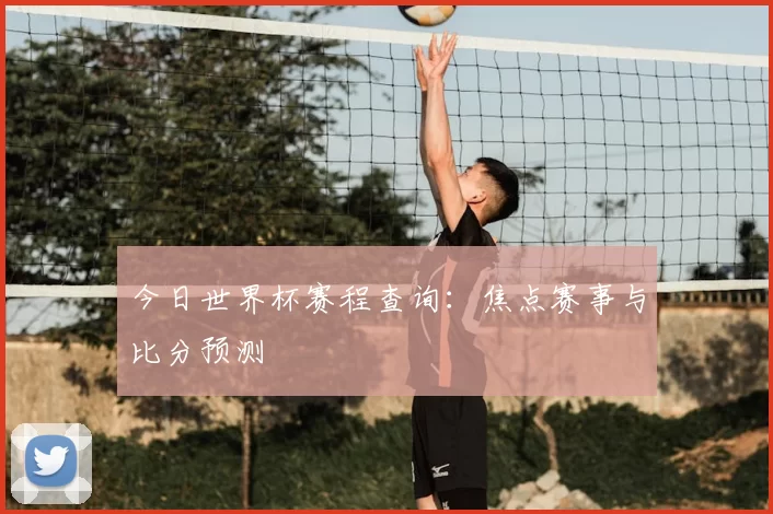 今日世界杯赛程查询：焦点赛事与比分预测