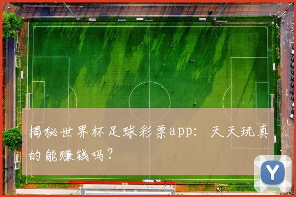 揭秘世界杯足球彩票app:天天玩真的能赚钱吗?