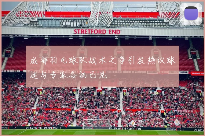 成都羽毛球队战术之争引发热议球迷与专家各执己见