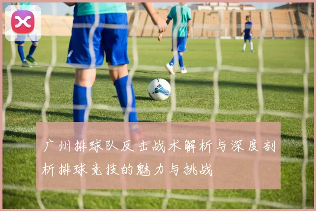 广州排球队反击战术解析与深度剖析排球竞技的魅力与挑战